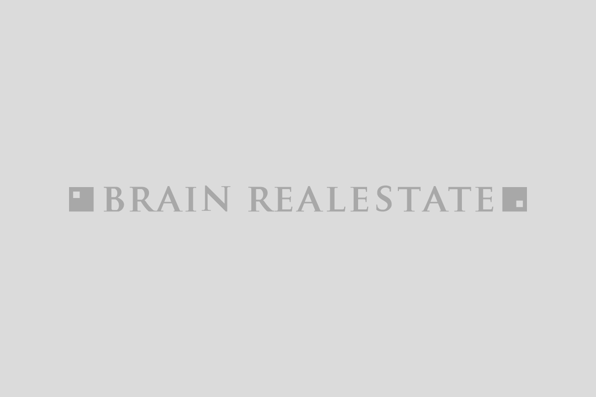 BRAIN REALESTATE